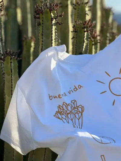 Nuestra primera cápsula